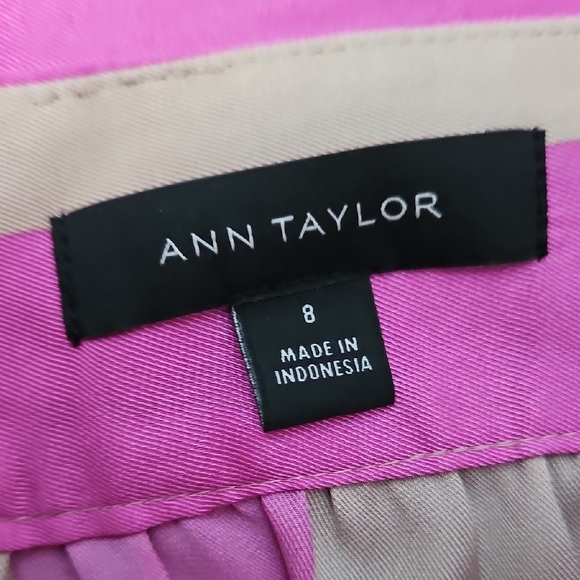 Ann Taylor Women's Pink and Tan Striped Women's Skirt NWOT - Picture 4 of 8